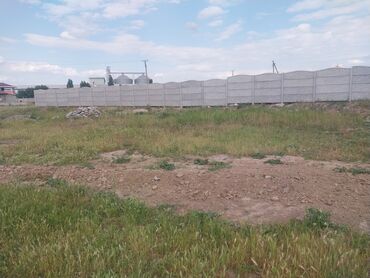 про маркет: 4 соток