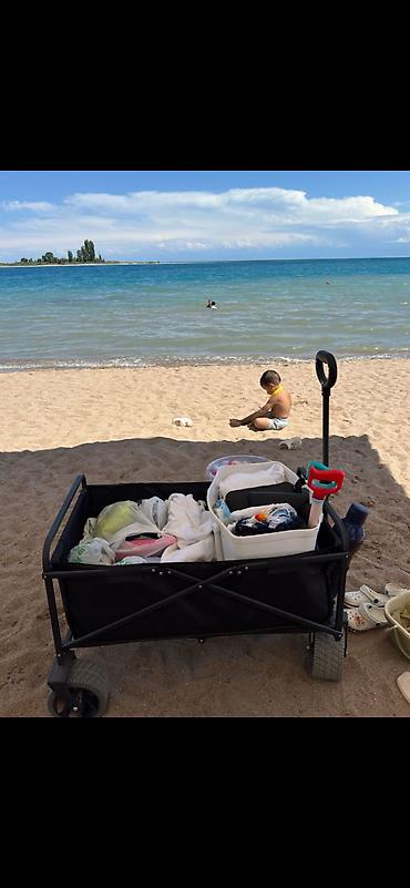 Другие товары для детей: Кемпинговая тележка В горы на пляж На Иссыккуль прям необходимая — 12