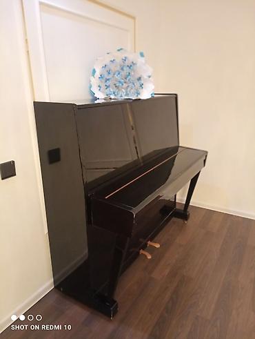 Pianolar: Piano, Belarus, Akustik — 9