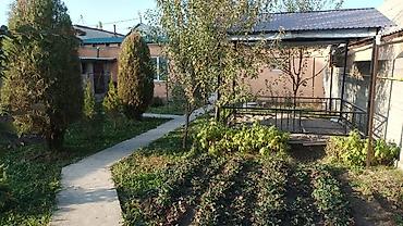 Продажа коттеджей и домов: Продажа коттеджей и домов — 1