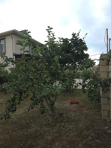Həyət evləri və villaların satışı: 6 otaqlı, 86 kv. m, Kredit yoxdur, Orta təmir — 7