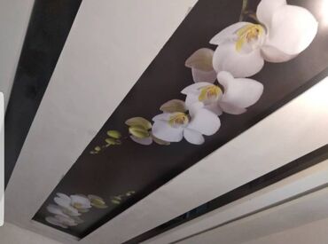 Натяжной потолок: Натяжной потолок 3D потолки, Глянцевое, Матовое — 24