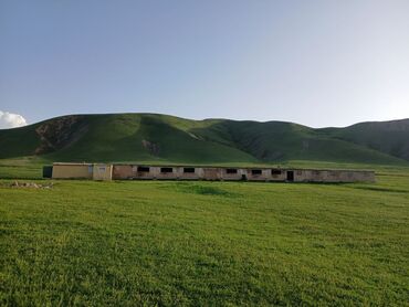 Сельхоз предприятия: Продаю Кошара, 50 соток, Действующий, Без оборудования, Электричество — 32