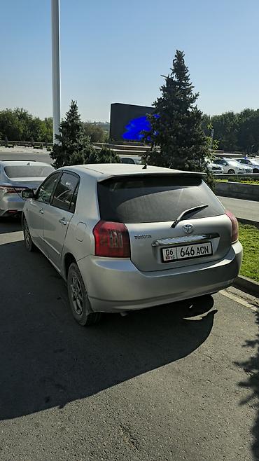 1 8 vvti: Toyota Allex: 2003 г., Автомат, Хэтчбэк — 2