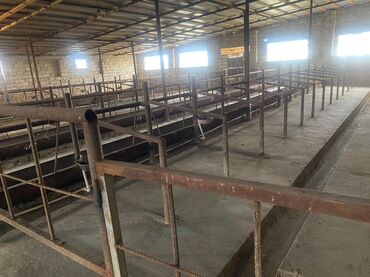 Digər kommersiya daşınmaz əmlakı: Ferma Satılır Buzovna - Material: qaya-daş (blok) divarlar, metal — 15
