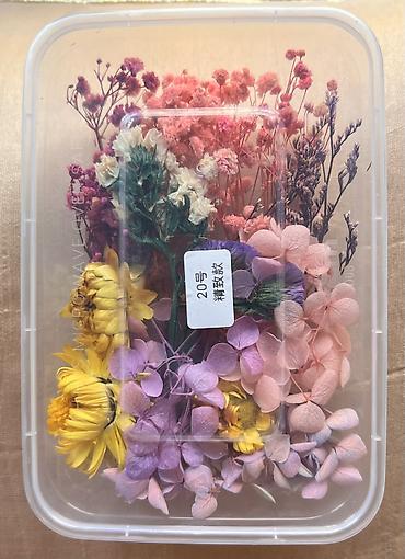 ромашки цветы: Набор натуральных сухоцветов для декора и творчества💐🔥🔥🔥 ‼️Самая — 6