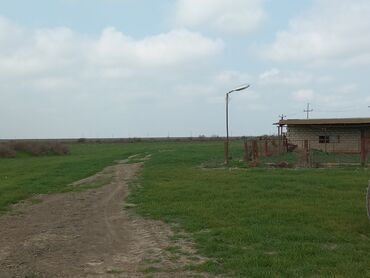 Torpaq sahələrinin satışı: Kənd təsərrüfatı — 3