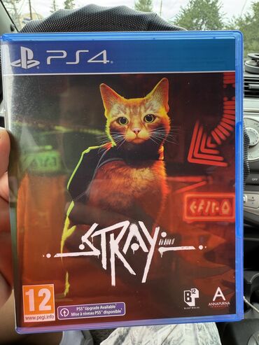 купить ноутбук в бишкеке бу: Игра Stray новый 2000 сом