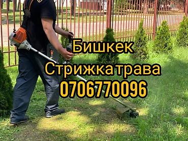 косим трава: Услуги по стрижке травы в Бишкеке. - Косьба газонов, обочин и — 1