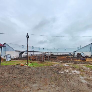 Torpaq sahələrinin satışı: Kənd təsərrüfatı, Mülkiyyətçi, Bələdiyyə, Kupça (Çıxarış) — 24