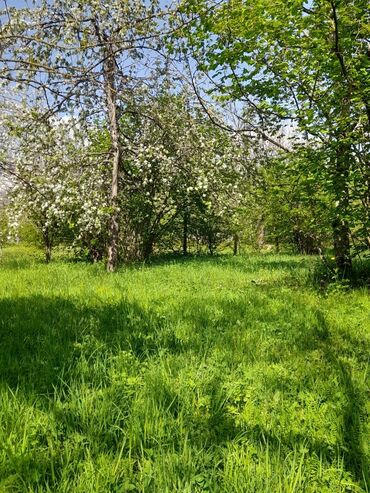 Torpaq sahələrinin satışı: 30 sot, Kənd təsərrüfatı, Mülkiyyətçi, Kupça (Çıxarış) -da lalafo.az — 9 Torpaq sahələrinin satışı: 30 sot, Kənd təsərrüfatı, Mülkiyyətçi, Kupça (Çıxarış) — 9