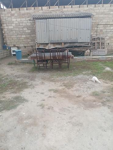 goygol ev satilir: Ev iki otaqdan ibarətdir iki otaqı qosa kubikdəndir qazı işiq suyu — 1