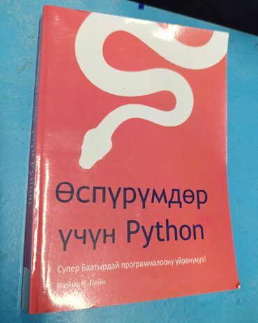 адам жана коом 8 класс китеп: Книга языка программирования Python для начинающих на кыргызском