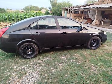 диски нисан примера: Nissan Primera: 2005 г., Лифтбек — 4