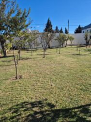 купить дом баку: Novxanıda, Görədil dəmir yolu stansiyasına piyada 10-15 dəqiqəlik