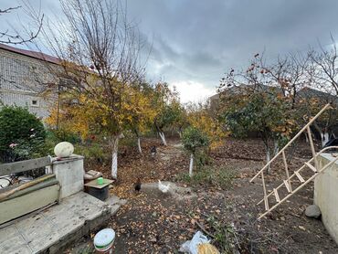 Bağ evlərinin satışı: Bakı, Mərdəkan, 282 kv. m, 5 otaqlı, Hovuzlu, Kombi, Qaz, İşıq -da lalafo.az — 11 Bağ evlərinin satışı: Bakı, Mərdəkan, 282 kv. m, 5 otaqlı, Hovuzlu, Kombi, Qaz, İşıq — 11