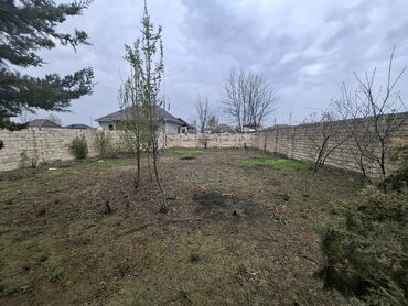 bileceride ucuz kiraye evler: 43 sot, Tikinti, Mülkiyyətçi, Kupça (Çıxarış)