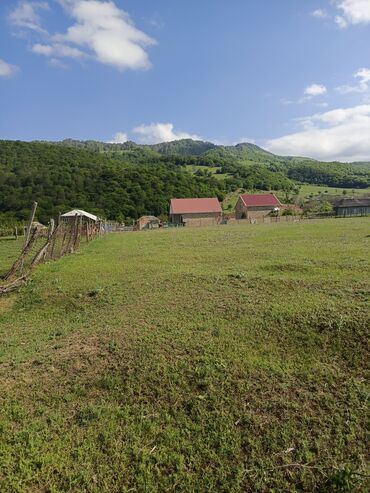 Torpaq sahələrinin satışı: 30 sot, Tikinti, Mülkiyyətçi, Kupça (Çıxarış) — 4