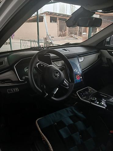 BYD: BYD Destroyer 05: 2021 г., Электромобиль, Кроссовер — 3