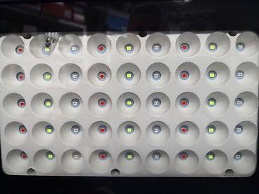solarno drvo: RGB LED reflektori sa daljinskim IR IP65 10w, 20w,30w,50w. PROLEĆNA — 2