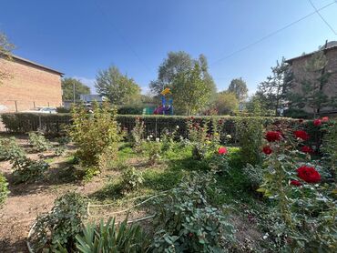 Продажа квартир: 3 комнаты, 61 м², 1 этаж, Евроремонт — 17