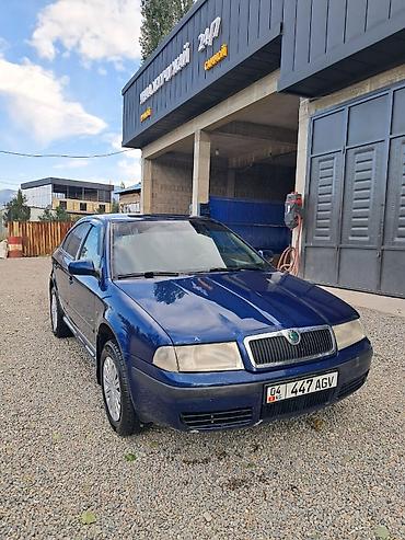 audi a6 c5 запчасти: Skoda Octavia: 2006 г., 1.6 л, Механика, Бензин, Лифтбек — 2