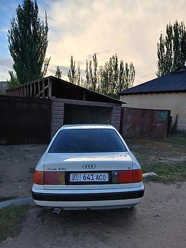 Audi: Audi 100: 1991 г., Седан — 3
