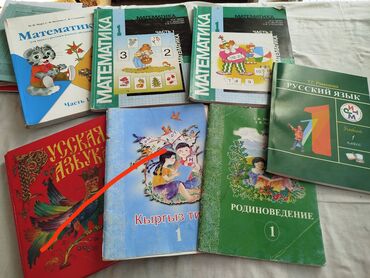 книги программирование: Книги 1 класс и 6 класс