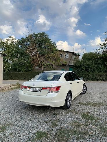 Продажа авто: Honda Accord: 2011 г., 2.4 л, Автомат, Бензин, Седан — 5