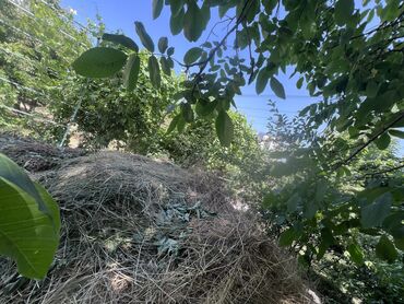 Другие товары для дома: Чөп сатылат 1 портер чыгат
Адрес:Ленина 95А
3000сом