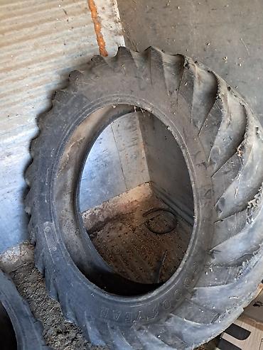 Təkərlər: T-28 ARXA TƏKƏRİ 13/36 - Növ: Traktor/aqrotexnika üçün arxa şinlər - — 4