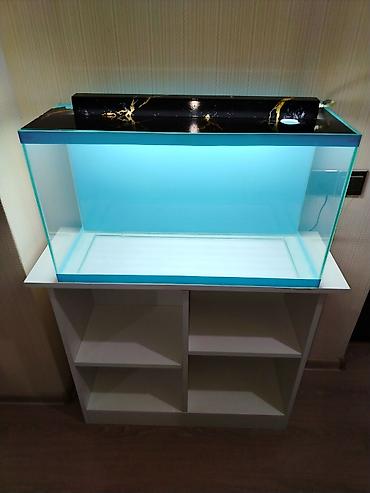 Akvariumlar: Dördbucaq akvarium, Boş, 70 l — 1