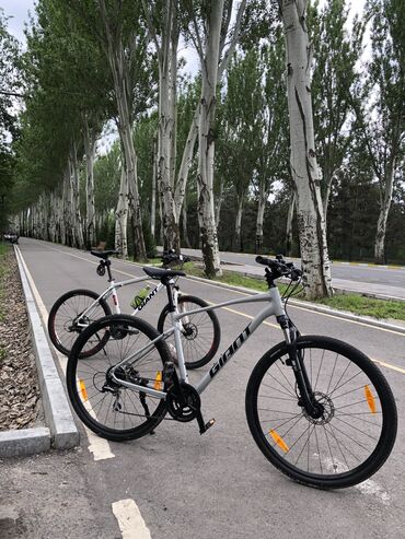 velosiped ot 3 do 6 let: Продается фирменный велосипед Giant roam 3 disc 16 скоростей (2х8)