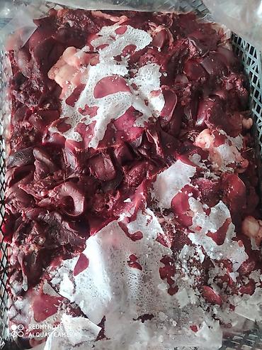 куриные ноги: Замороженные куриные субпродукты - Куриные лапы. Подходят для — 5