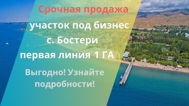 земельные участки в кок жаре: 100 соток, Для сельского хозяйства, Красная книга