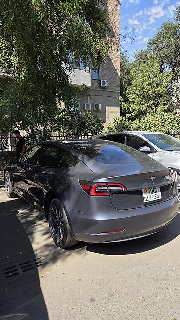 byd dolphin: Tesla Model 3: 2023 г., Автомат, Электромобиль, Седан — 5