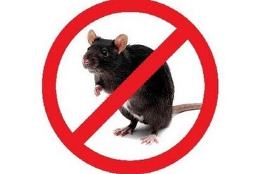 Дезинфекция, дезинсекция: Дезинфекция, дезинсекция, | Блохи, Муравьи, Вирусы, микробы, | Дома, Кафе, магазины, Квартиры — 6