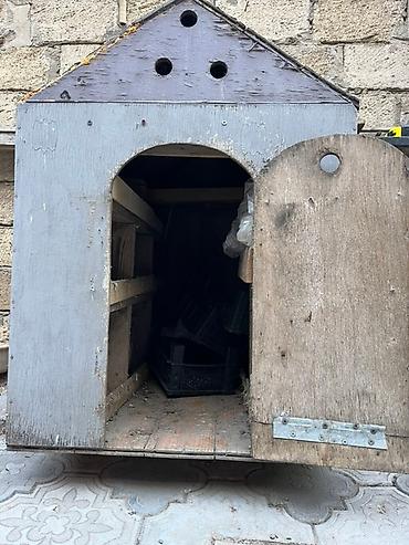 vəhşi itlər: Taxtadan hazırlanmış, qapısı olan it evi. İtinizi küləkdən, yağışdan — 2