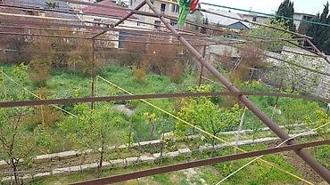 samaxida torpaq sahesi satilir: 6 sot, Tikinti, Kupça (Çıxarış) — 6