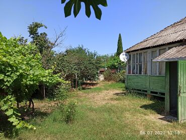 Bağ evlərinin satışı: Nabranda çox qözel menzerede hem denize yaxın hemde meşenin kenarında — 21