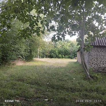 Продажа участков: 25 соток, Купчая — 8