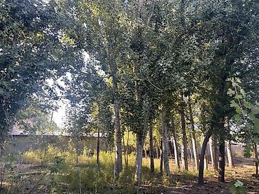 участки в бишкеке: 48 соток — 1
