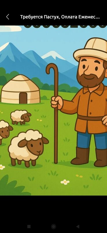 няня для собак: Требуется Пастух, Оплата Ежемесячно