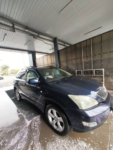 лек сус: Lexus RX: 2004 г., 3 л, Автомат, Газ, Внедорожник