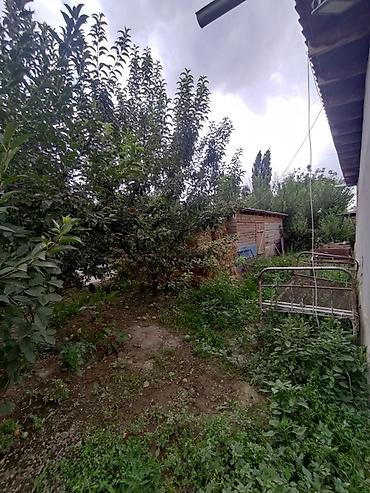 Продажа коттеджей и домов: 📍 В Сокулуке от трассы 300 м продается дом на участке 5 соток. 🏡Дом с — 4