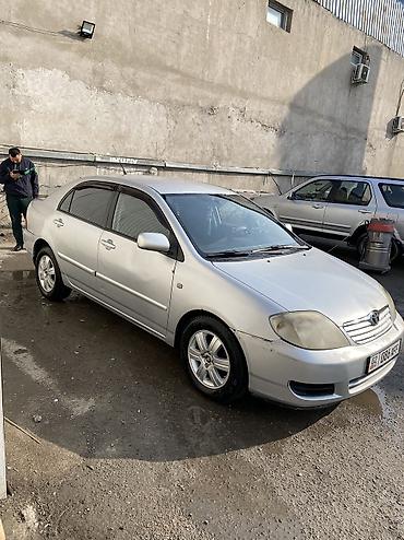 Toyota: Toyota Corolla: 2004 г., 1.6 л, Автомат, Бензин, Седан — 7