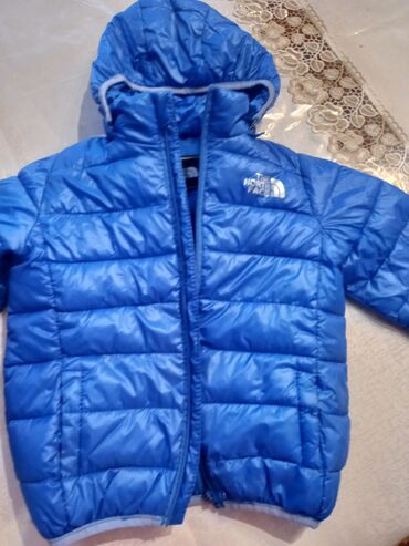 кожаная мужская куртка: Куртка цвет - Синий
