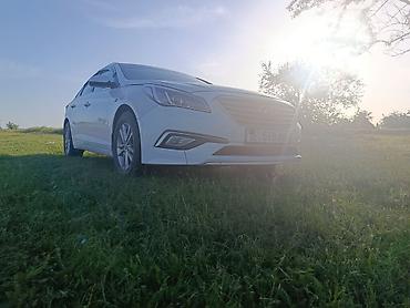 корея кар ком: Hyundai Sonata: 2018 г., 2 л, Автомат, Бензин, Седан — 9