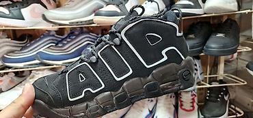 premiata 483 original: Orginal model sa kutijom 39 do 45 za samo 4200 din — 5