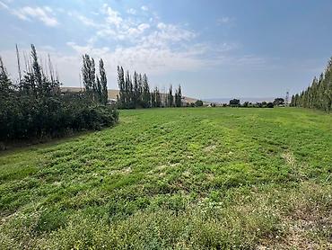 ev satilir type 1: 105 sot, Tikinti, Mülkiyyətçi, Kupça (Çıxarış) — 10